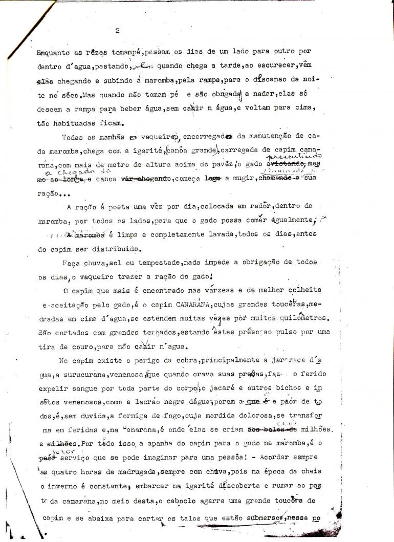 Enchente de 1918 no Baixo Amazonas - Página 2